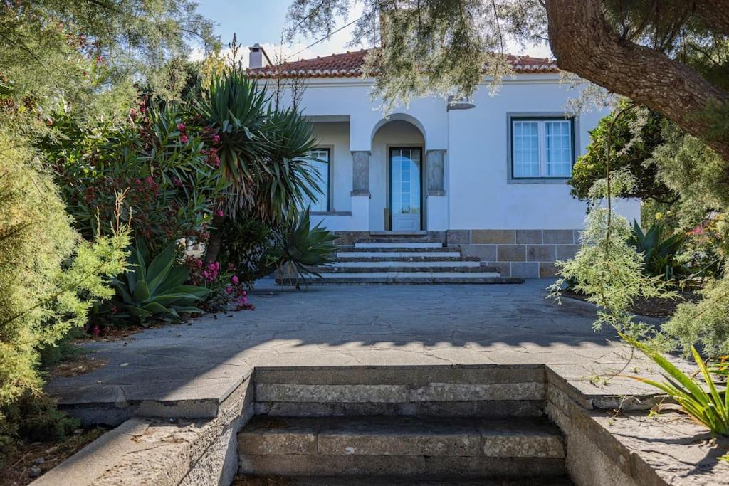 Challet Ericeira Villa Luaran gambar
