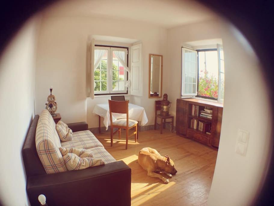 Challet Ericeira Villa Luaran gambar